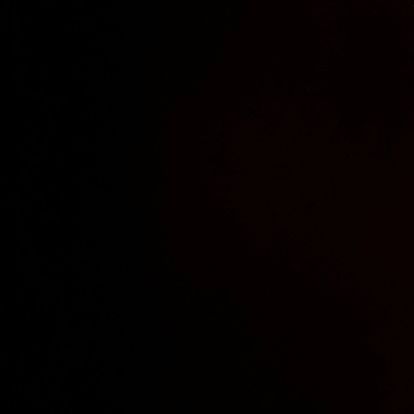 Meet your Posher, Jesse - Picture 1 of 1